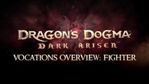 Dragon's Dogma : Dark Arisen - Fighter, Warrior, Assassin