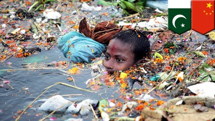 Video herunterladen: Penemuan baru jamur pemakan plastik - TomoNews