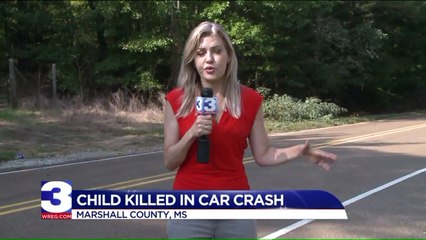 Morning Carpool to School Turns Deadly When Car`s Brakes Reportedly Fail