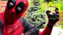 Spiderman & Frozen Elsa SuperHeroes in Real Life w/ Batman & Hulk Zombie Episode 7