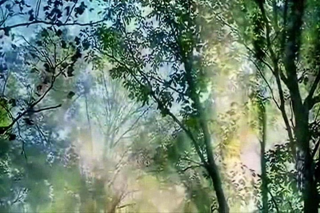 2012Camp 25日_0001一番最終