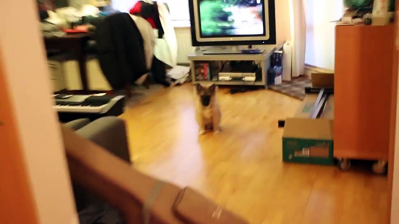 MELINA VERLIERT DIE GEDULD Goðis Life #7 | Melina Sophie