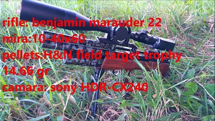 Benjoin Canard chasse maraudeur fusil Air 5.5