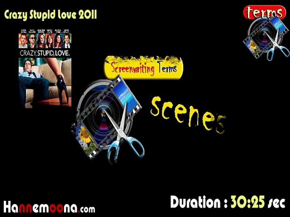 Screenwriting Terms - Action  - Crazy stupid love 2011