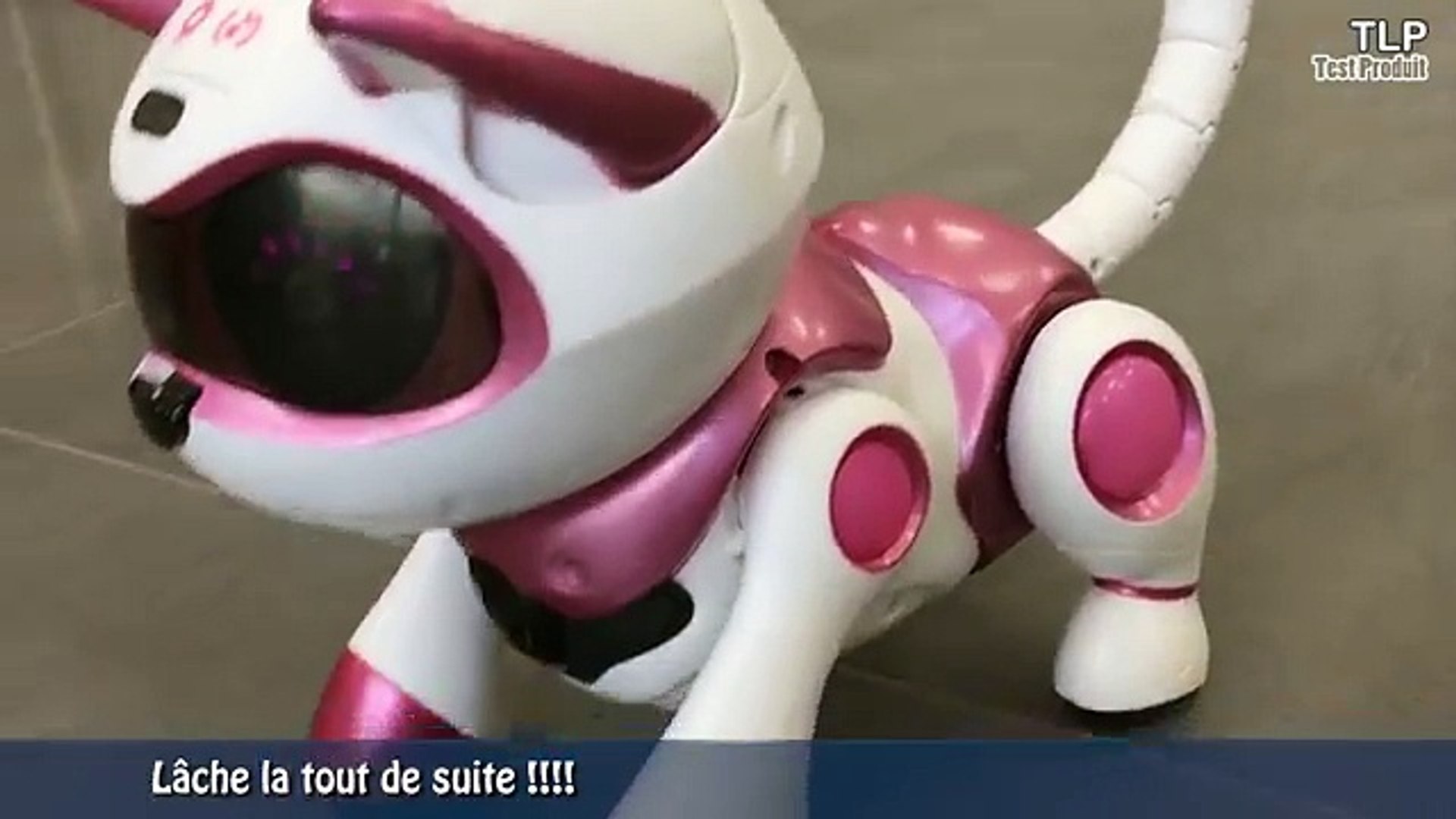 Teksta Kitty Le Chaton Robotique Demo En Francais Video Dailymotion