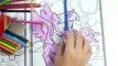 MLP ivity book coloring for kids my little pony coloring pages