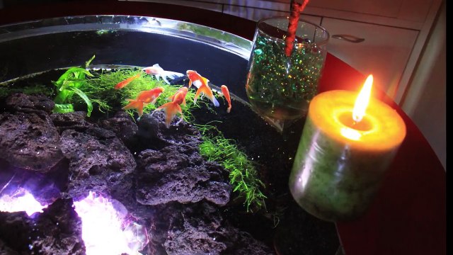 7 Insane Tables You Wont Believe Exist by Merlin Turner