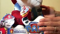 Patrulha Canina - Real Talking Marshall Paw Patrol