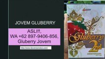 BERKUALITAS!!, WA +62 897-9406-856, Manfaat Gluberry