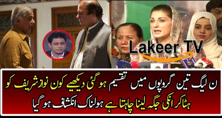 Irshad Bhatti Revealed PMLN is Divided in Three Groups