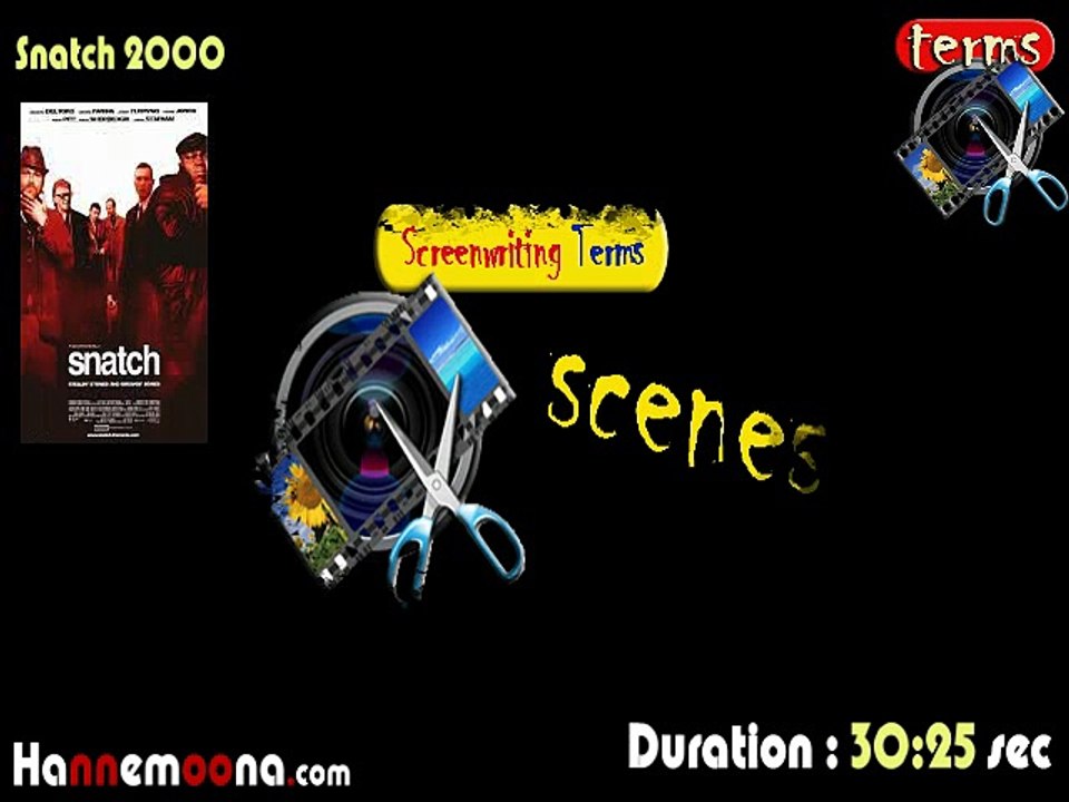 Screenwriting Terms -FLASH CUT  - Snatch 2000