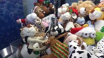 Saving a Plush Trapped for 10 YEARS!! - Claw Machine Wins