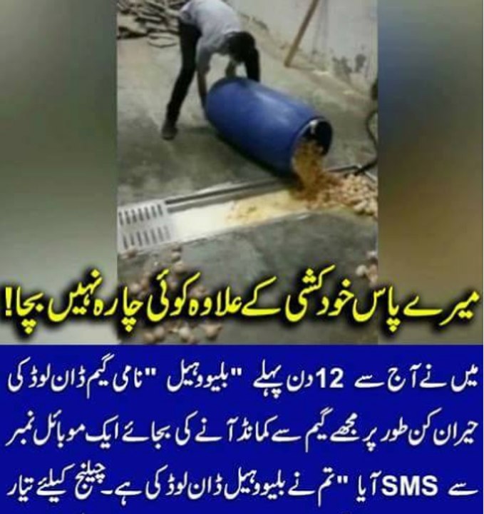 Blue Whale Game Real Story In Hindi __ Stay away __ Horryone __