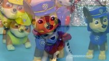 PAW PATROL Nickelodeon Paw Patrol & Disney Junior Mickey Mouse Toys Video Parody