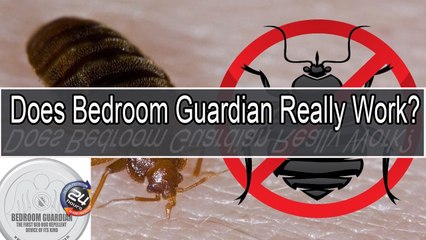 A Bedroom Guardian Reviews Video You NEED Before You Buy!