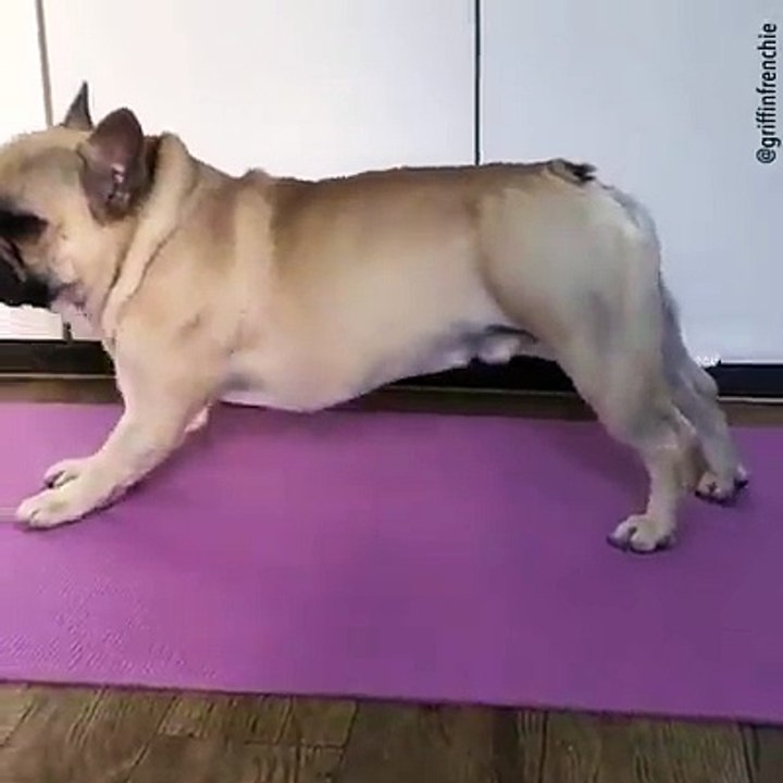 Yoga class ✔