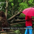 Ouragan Maria: deux morts et deux disparus en Guadeloupe
