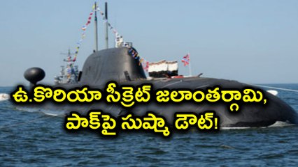 North Korea developing nuclear-capable Submarinesకొరియా సీక్రెట్ జలాంతర్గామి,పాక్‌పై డౌట్!|Oneindia