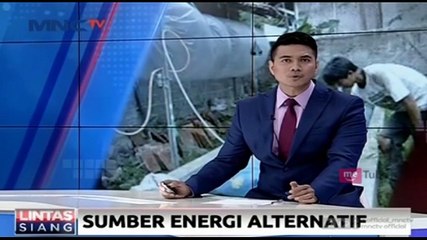 Keren! Kotoran Sapi Dijadikan Energi Alternatif untuk Memasak