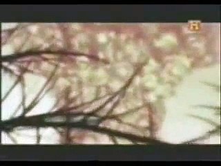 GRANDES ENIGMAS - EL EVENTO DE TUNGUSKA - SIBERIA (30-06-1908) - PARTE 1