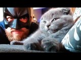 Kitty Does Not Care for Batman