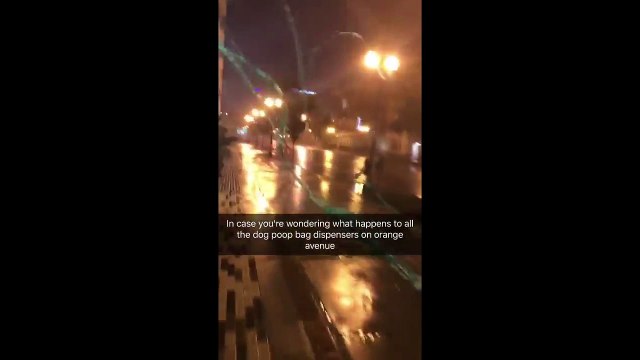 Vol de centaines de sac à crottes de chien pendant l'ouragan IRMA !