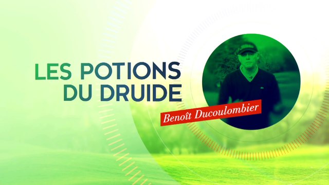 Les Potions du Druide : épisode 8