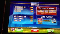 *SUPER BIG WIN!* LEGEND OF THE WHITE BUFFALO | Slot Machine Bonus (Cadillac Jack / AGS)
