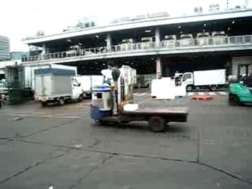 Marché au poissons : Tsukiji