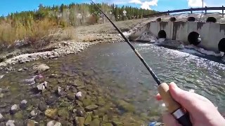 Tiny Stream Fishing