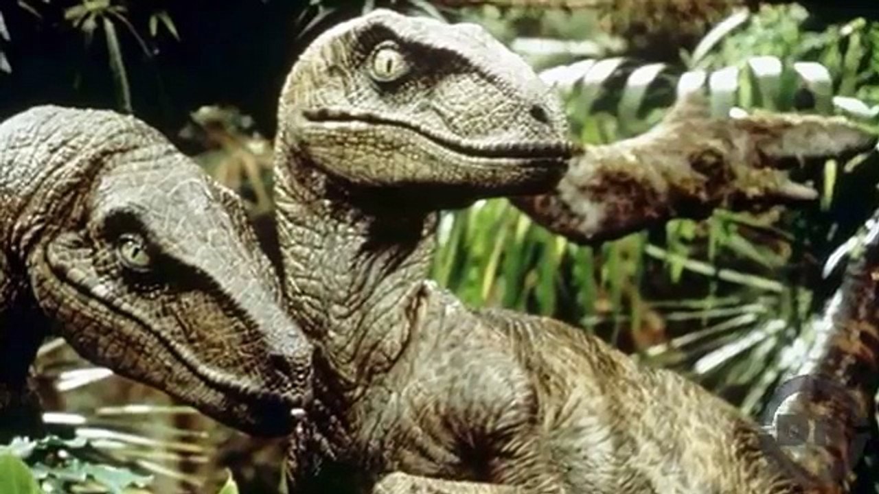 The Truth About Velociraptors