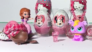 Des œufs ouvert par le petit animal de compagnie Boutique doux Fée et Princesse