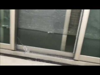 Man Arrives Home to Flooded Apartment After Dog Runs Faucet