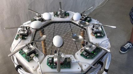 La danse des œufs et des petits pois