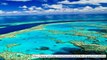Great Barrier Reef SAVED: The amazing creature that could stop natural wonder dying