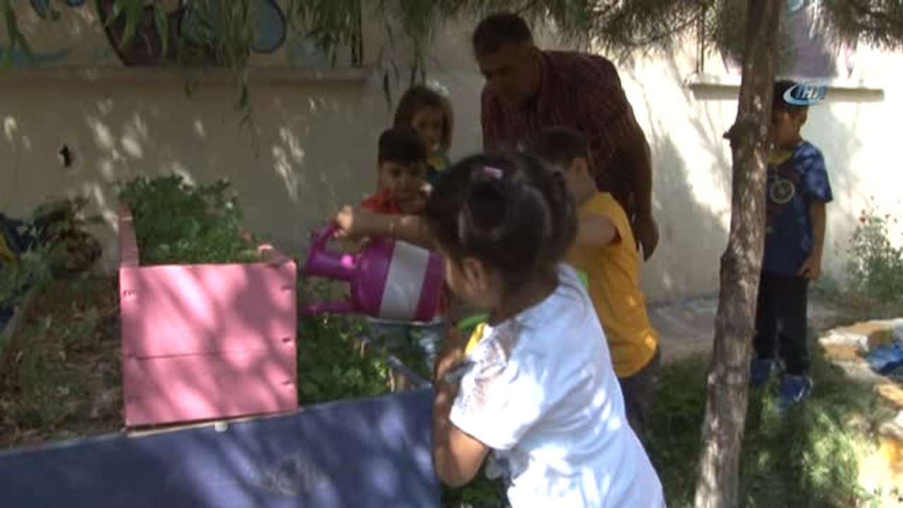 Miniklerden Sebze Yetiştiriciliği