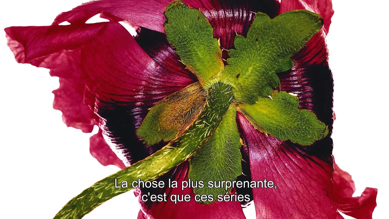 Irving Penn : l'exposition