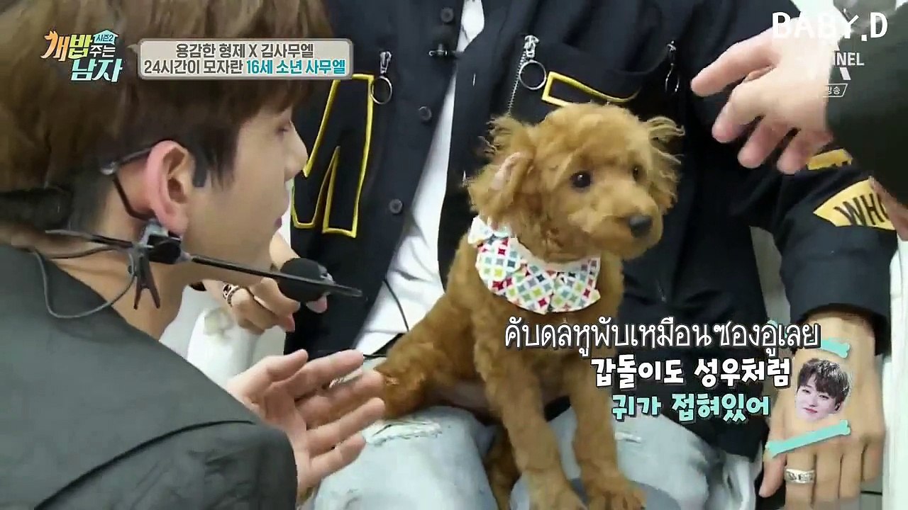 [ซับไทย] ซามูเอลเจอ Wanna One - รายการ A Man Who Feeds The Dog (Cut) [170916]