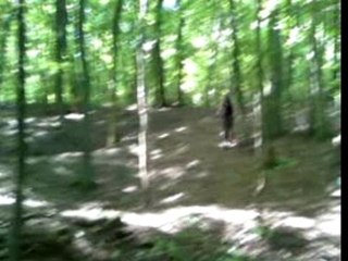 Big saut dans le bois