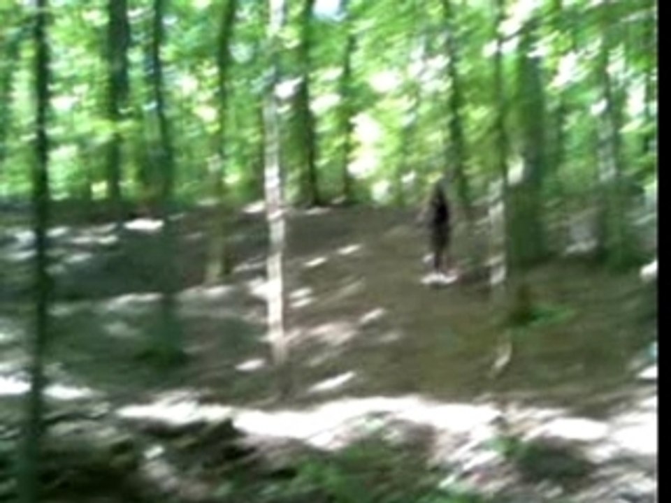 Big saut dans le bois