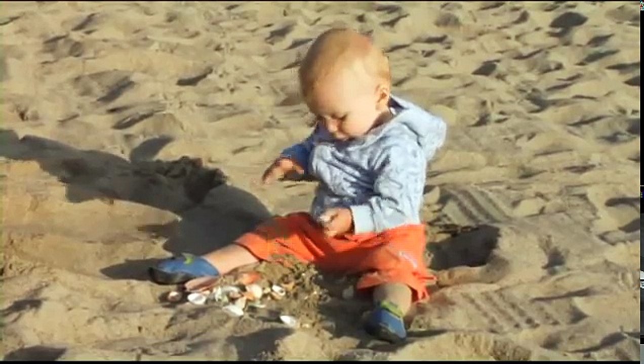Your Baby Can Discover - Volume 1 - Sample 2 - Flower and Counting Song