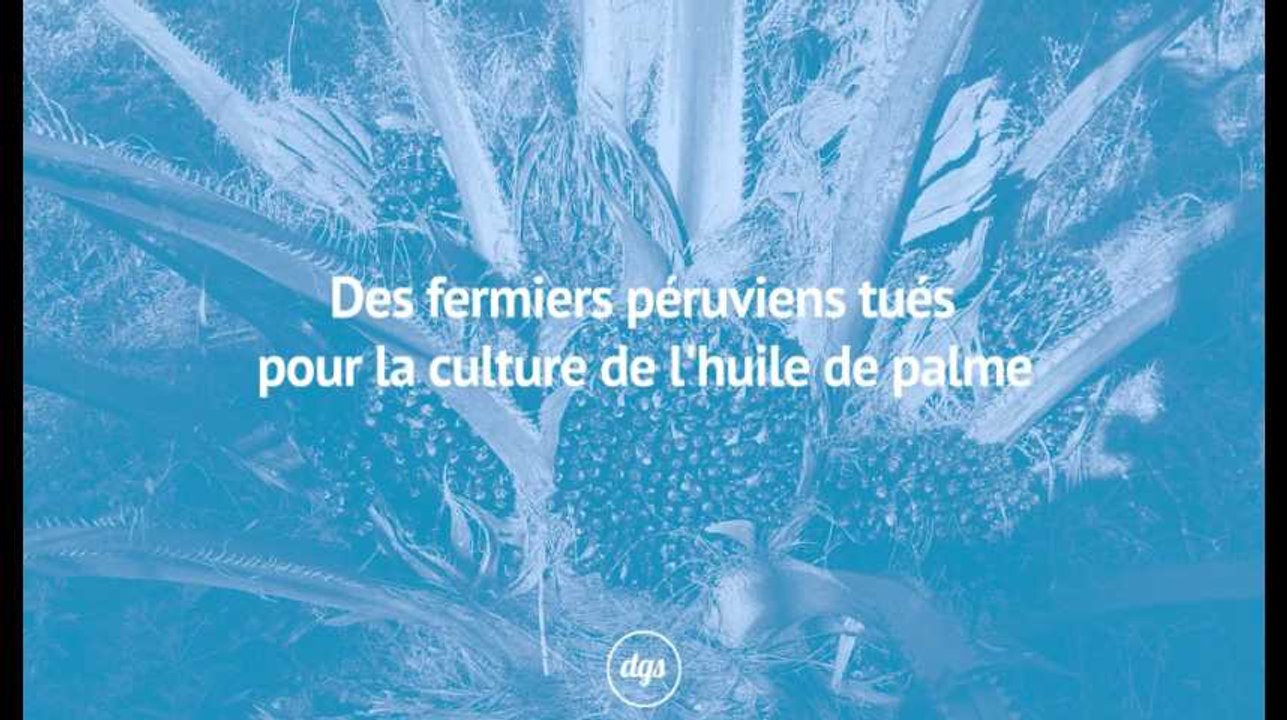 Des fermiers péruviens tués pour la culture de l'huile de palme