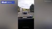 Woman climbs in car window forcing man to flee in Glasgow