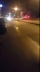 حي الغزالة : الشرطة البلدية تطلق النار على كلب و تتركه مصابا في الشارع !