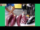 Super Slicing Knife from Professional Chefs - People Are Awesome Compilation 2017