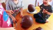 Dénigrement Chocolat Oeuf géant ouverture palais animaux domestiques étoile jouet guerres Kinder surprise tmnt