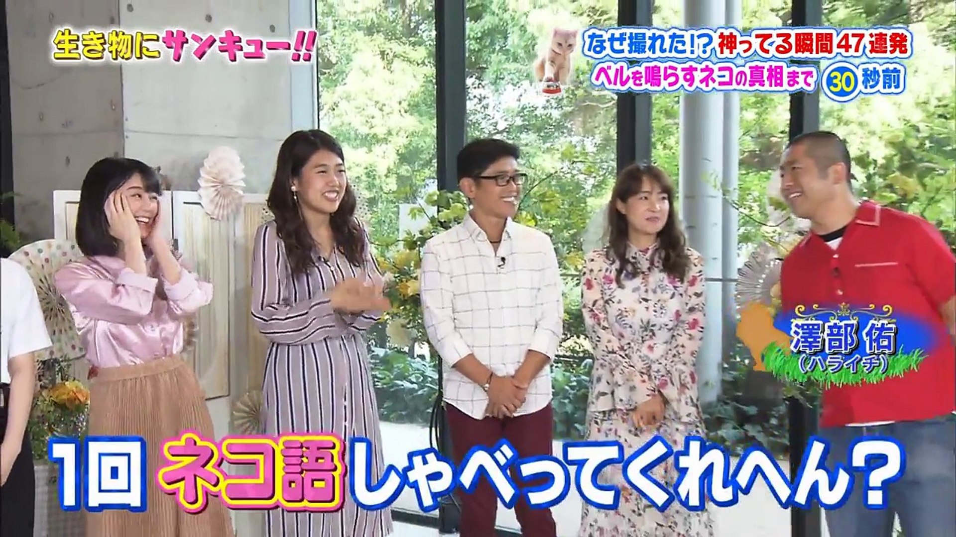 乃木坂46 西野七瀬 生田絵梨花 主な出演シーン カメレオン登場で乃木坂46西野 生田大興奮 生き物にサンキュー アイ アム 冒険少年合体4時間sp 17年09月日 動画 Dailymotion