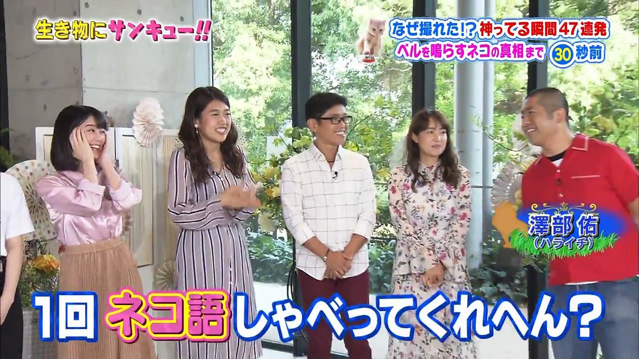 乃木坂46 西野七瀬 生田絵梨花 主な出演シーン 「カメレオン登場で乃木坂46西野・生田大興奮！」『生き物にサンキュー＆アイ・アム・冒険少年合体4時間SP』 2017年09月20日