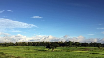 RFTV중절수술병원 [낙태수술 aaww2277@gmail.com ~메일로 문의하세요.] 낙태수술비용