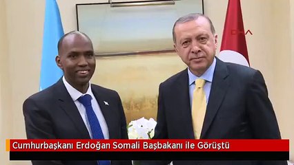 Cumhurbaşkanı Erdoğan Somali Başbakanı ile Görüştü